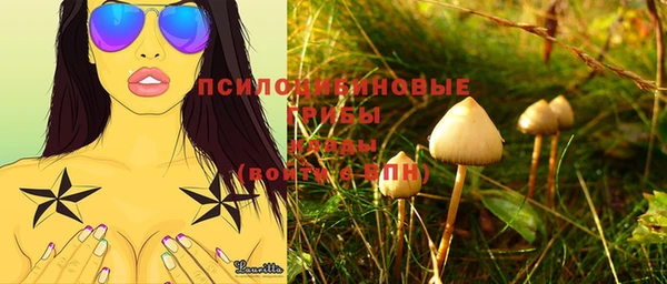стафф Верея