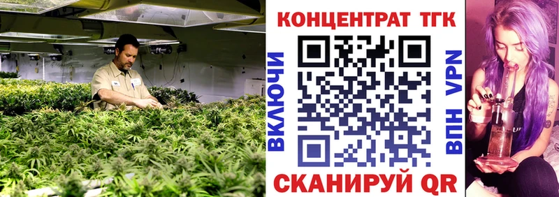 ТГК концентрат  Купить закладки  Североуральск 
