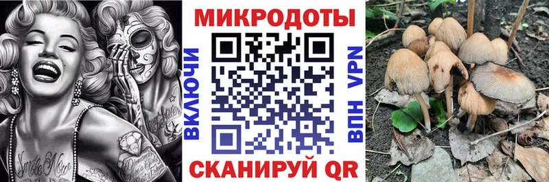 Купить закладки  Североуральск  Галлюциногенные грибы прущие грибы 